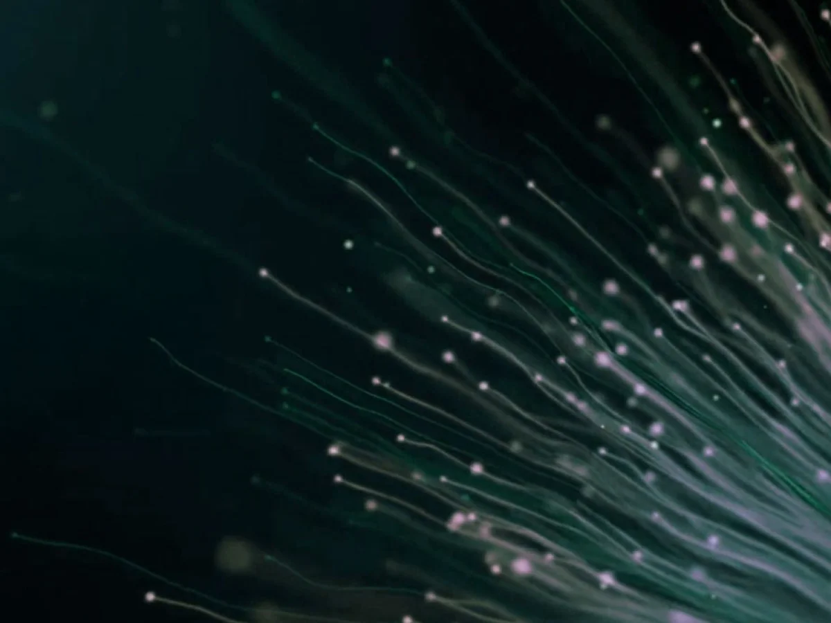 ffiber Presse, abstraktes Foto grün-violett leuchtender, fächerförmig auslaufender Glasfaser­bündel auf dunklem Hintergrund, Sinnbild für schnelle Glasfaser­kommunikation und Medien-Downloads.