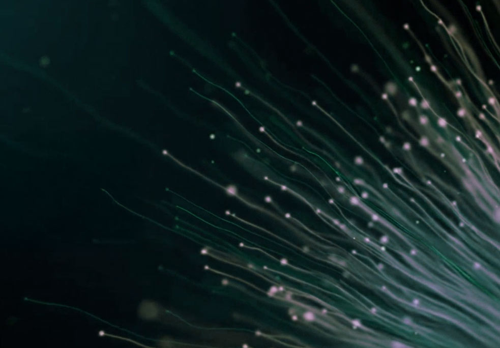 ffiber Presse, abstraktes Foto grün-violett leuchtender, fächerförmig auslaufender Glasfaser­bündel auf dunklem Hintergrund, Sinnbild für schnelle Glasfaser­kommunikation und Medien-Downloads.